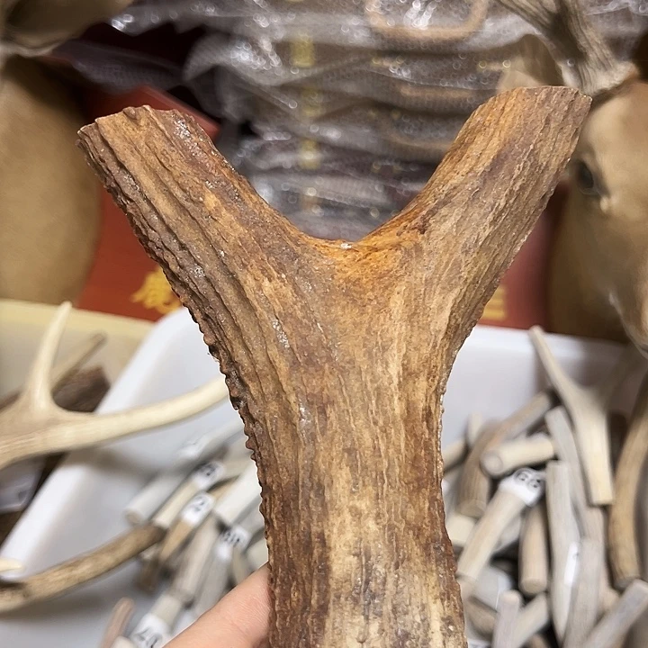 香榧木木雕款鹿角