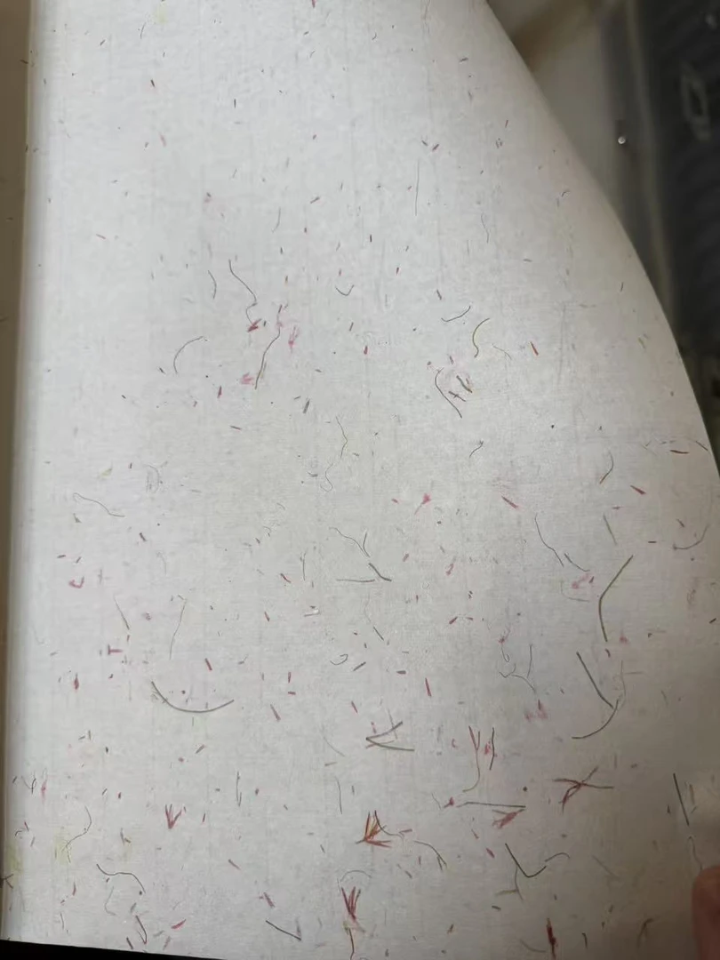 纯手工青丝云龙红花檀皮宣彩色34x69五十张