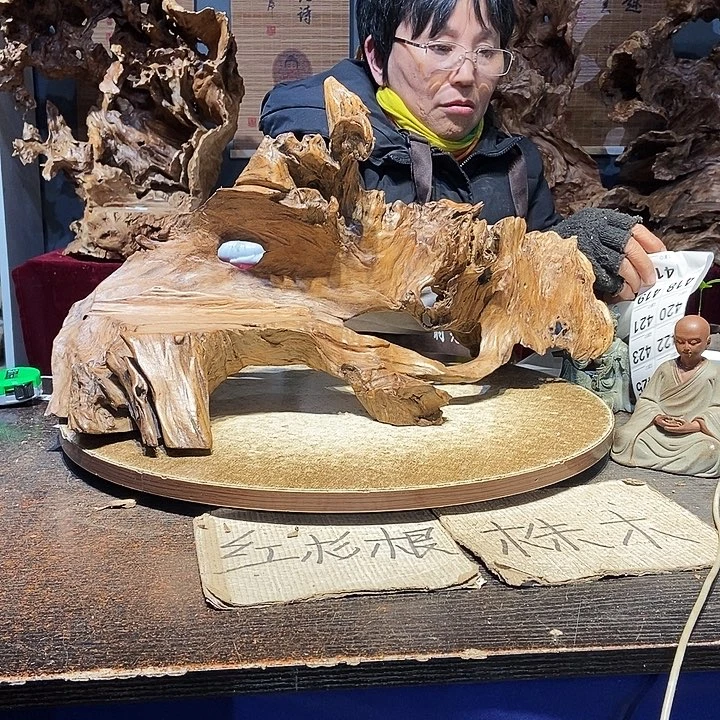 顺***气417。株木随行根艺