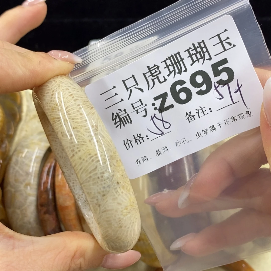 硅化珊瑚（珊瑚玉）1未镶嵌豆****u