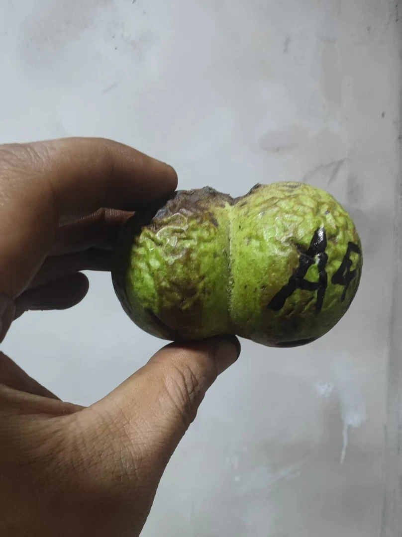 盘山文玩核桃1个--A47