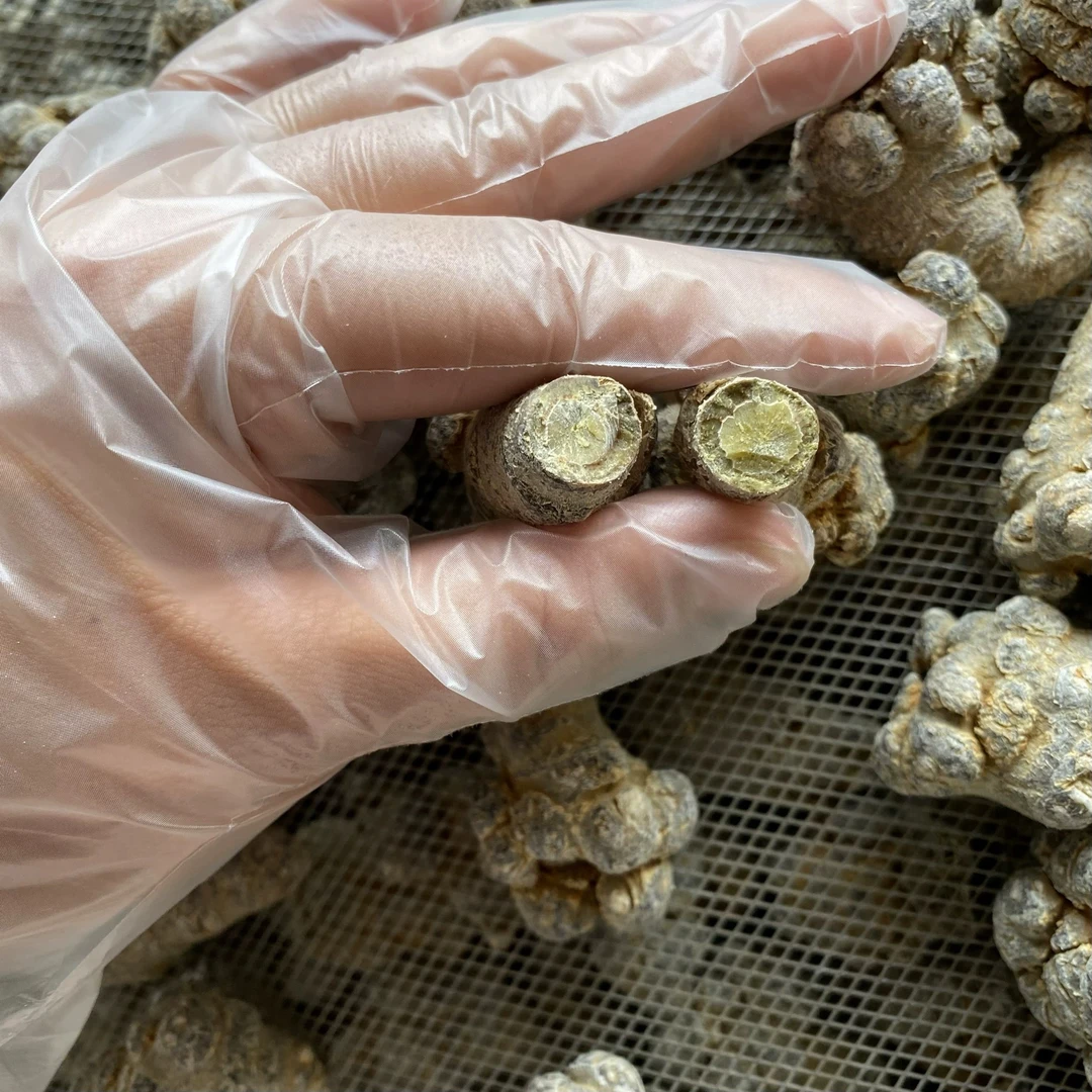 云南高山边境 三其 悠悠甄选