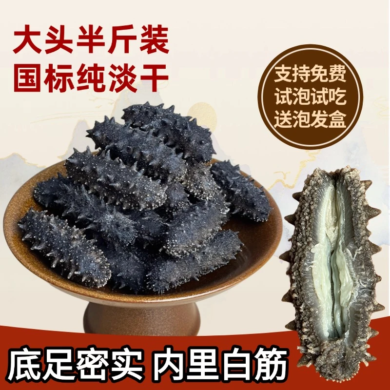 【大头半斤装】大连辽刺参国标纯淡干海参刺参干货高倍泡发营养丰富