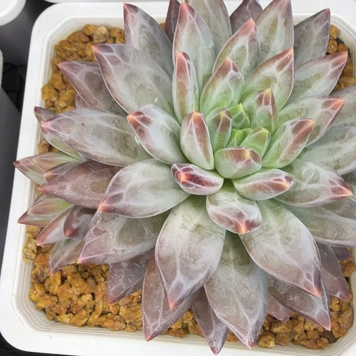 崔***鹏111111111111111111111