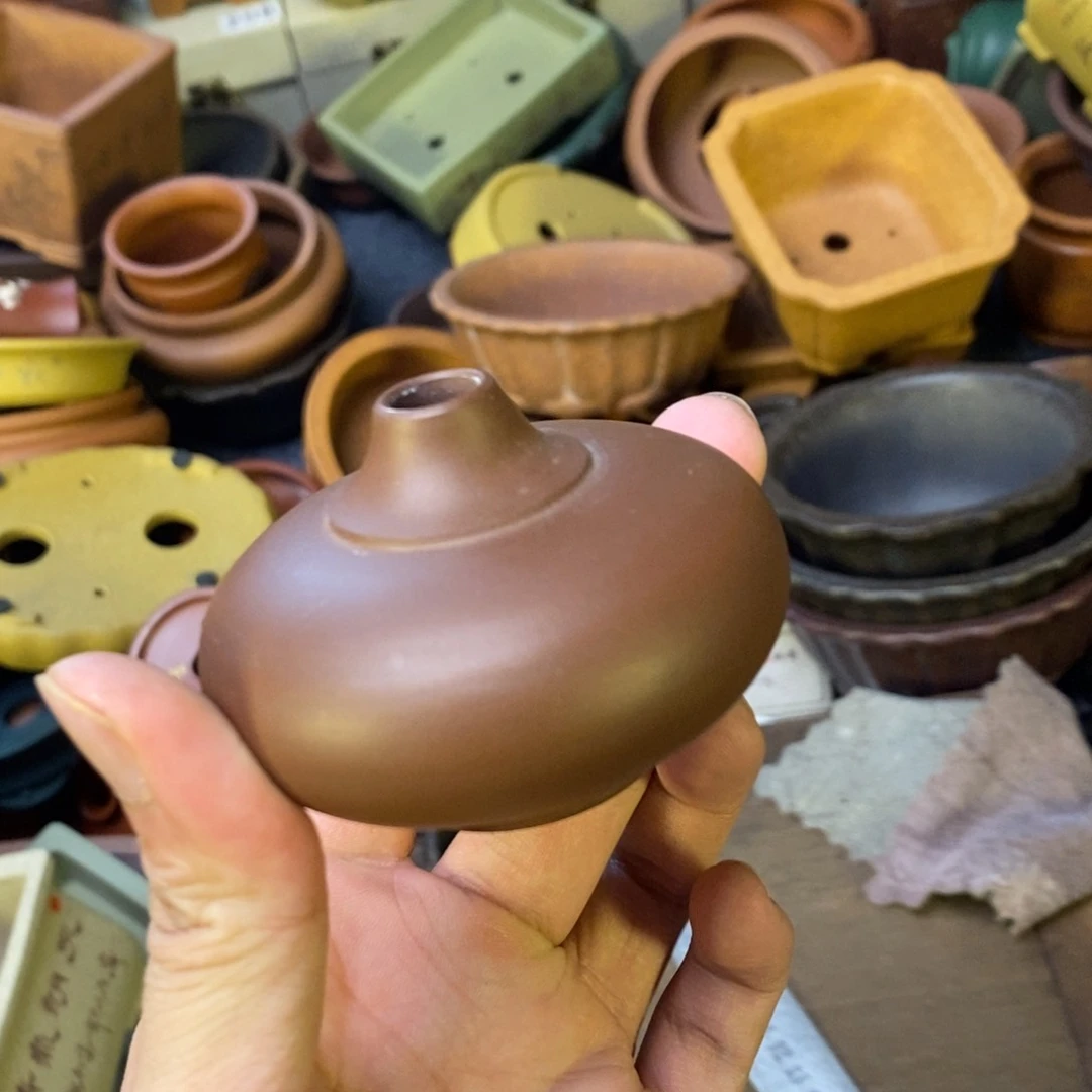 vvvvvvvvvvvvvvvvvvvvvvvv