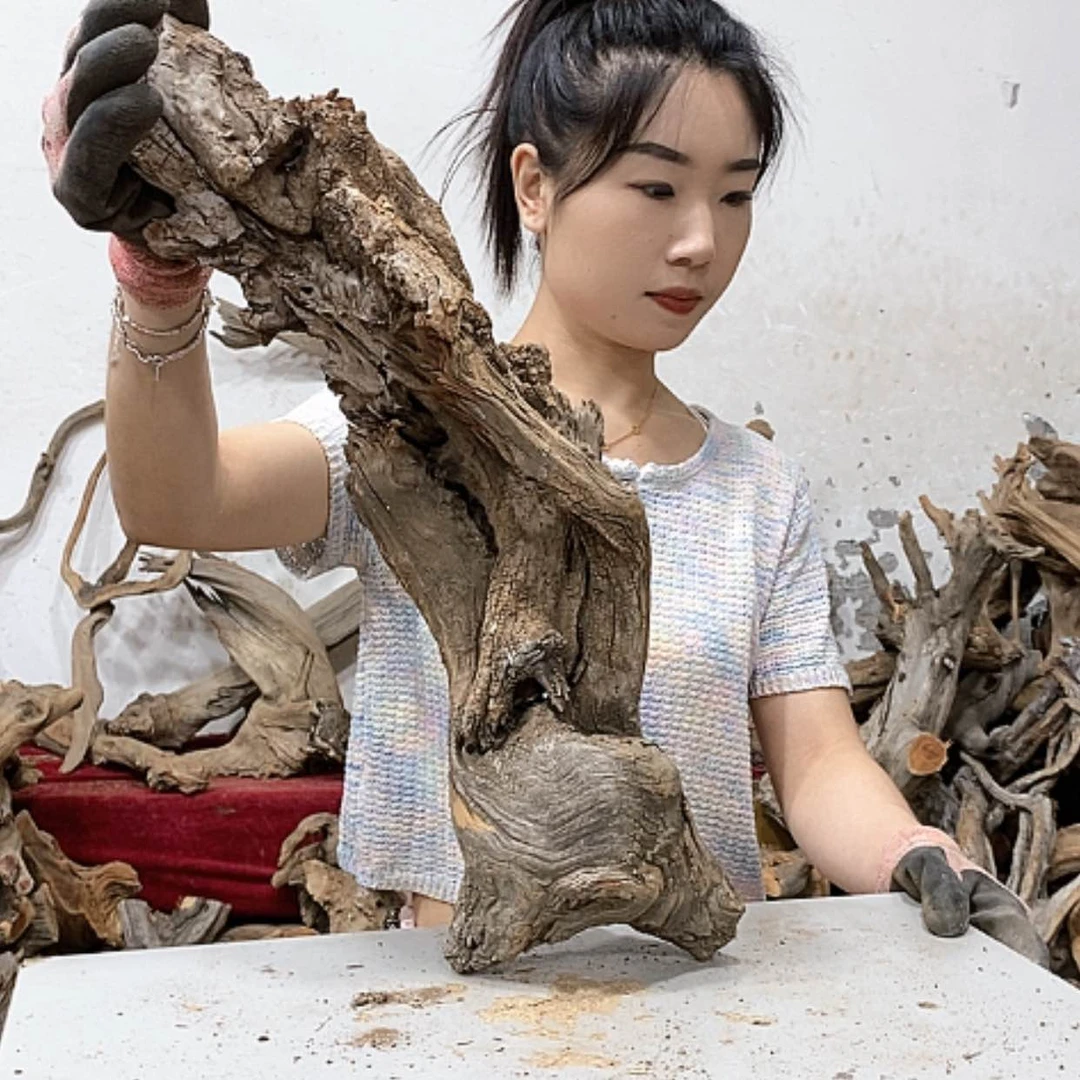 【闪购商品】柏木七***花我们都是好孩子啊