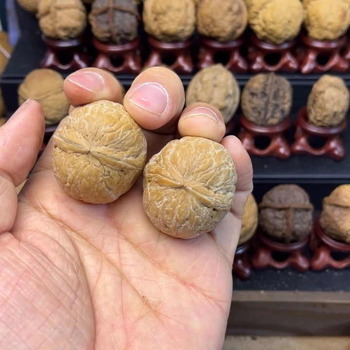 核桃云南铁核桃奶枣4