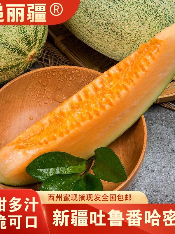 新疆吐鲁番头茬西州蜜25号哈密瓜脆甜多汁产地直发顺丰陆运爆款