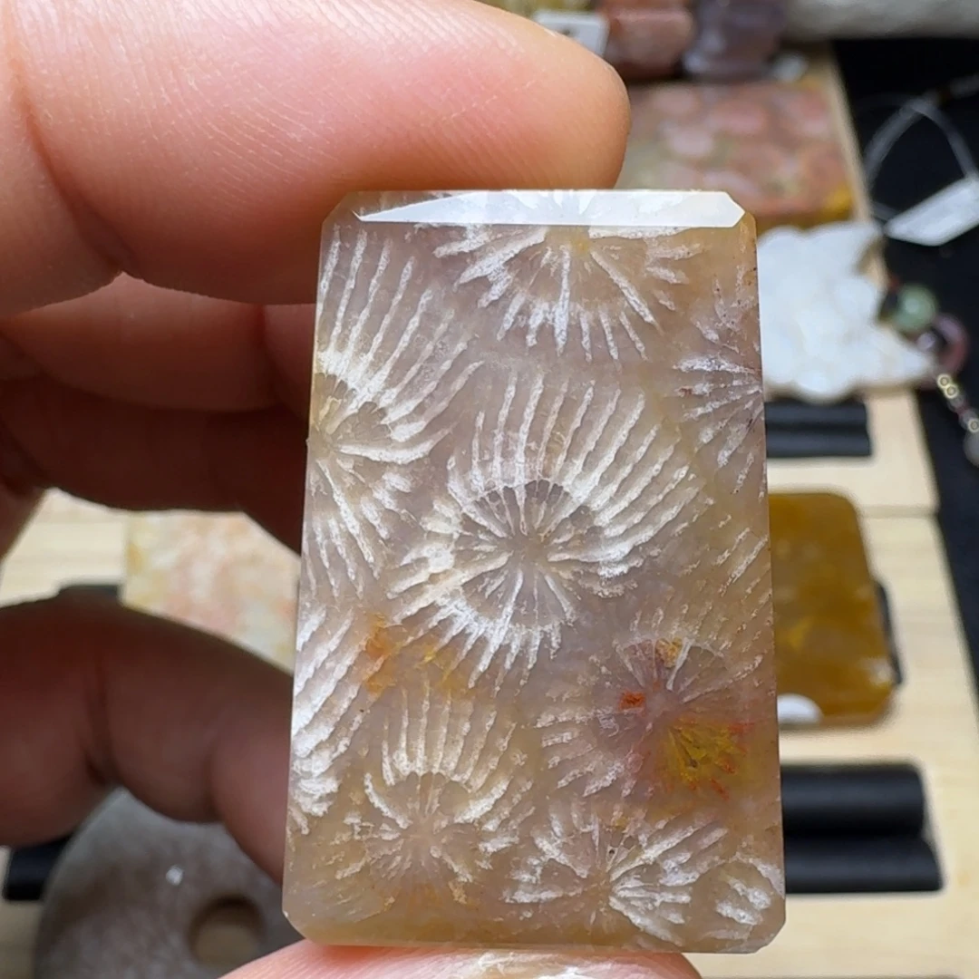未镶嵌纯天然色有机玉石保真色硅化玉