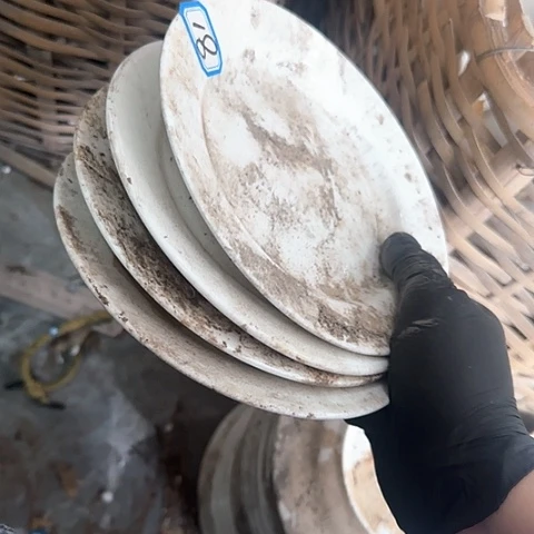 瓷片国营厂库存4个黑天鹅18