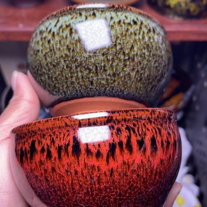 茶盏你是谁呢啊怎么