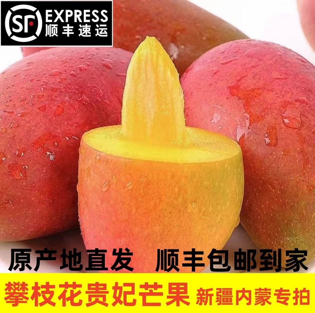 新疆内蒙顺丰包邮-攀枝花精品贵妃芒净重5斤装香甜多汁