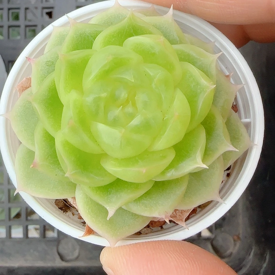 七***.【闪购商品】0923-12（p3-72）