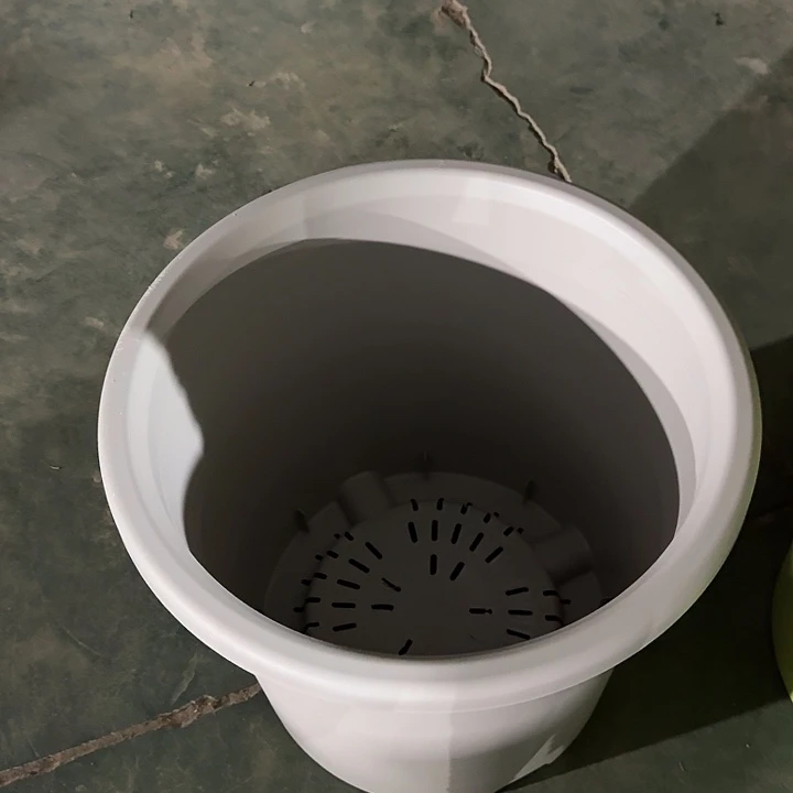 四季12号灰白无托2个