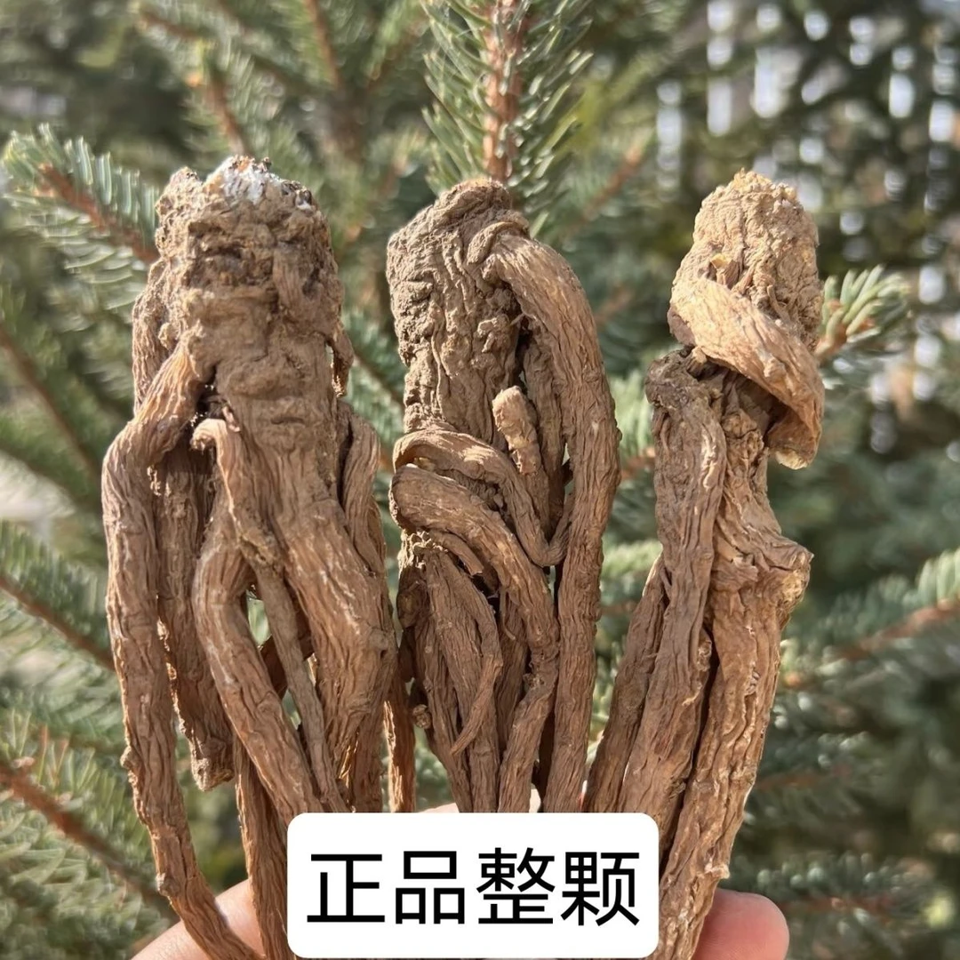 『种植』甘肃农户自家种植当归250g~500g包邮