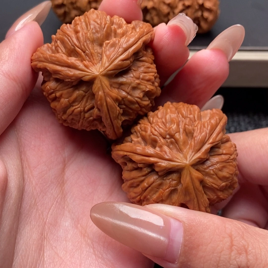 木质类白狮子正奔