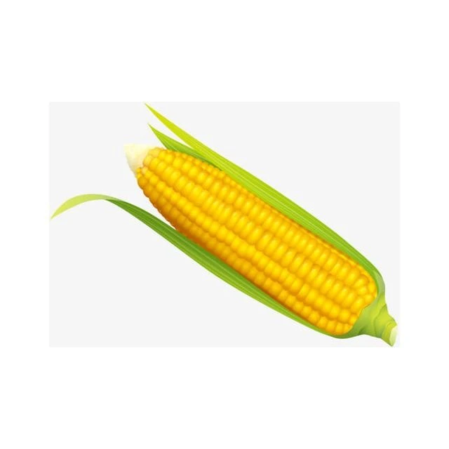 玉米（条）