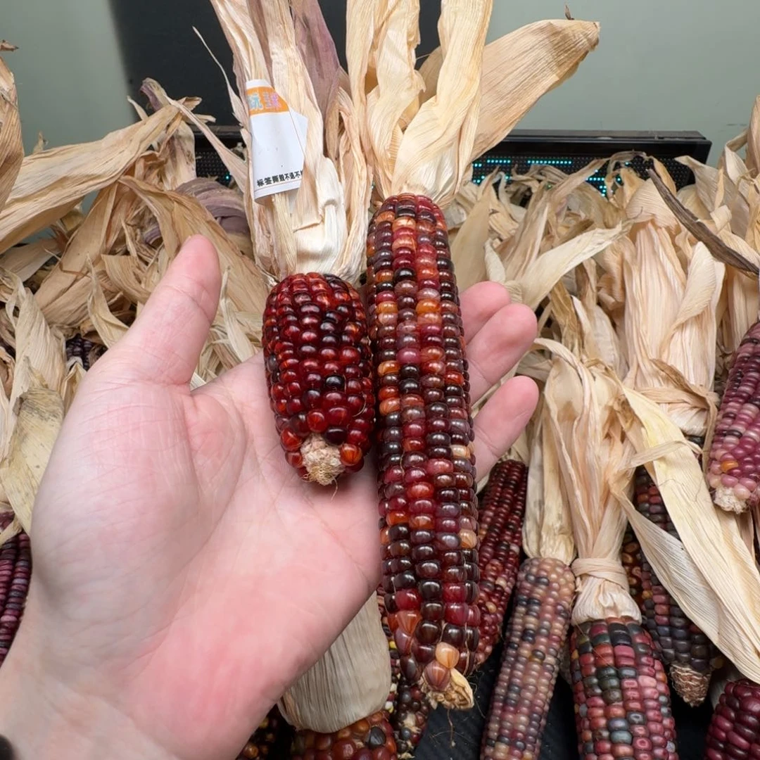 柏香籽/百香籽吊坠P*