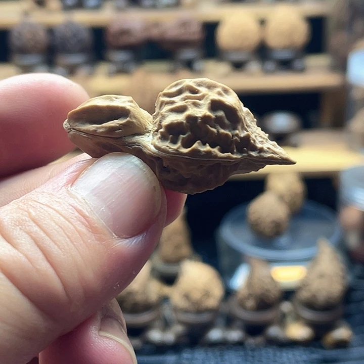 文玩核桃把件大头鸟