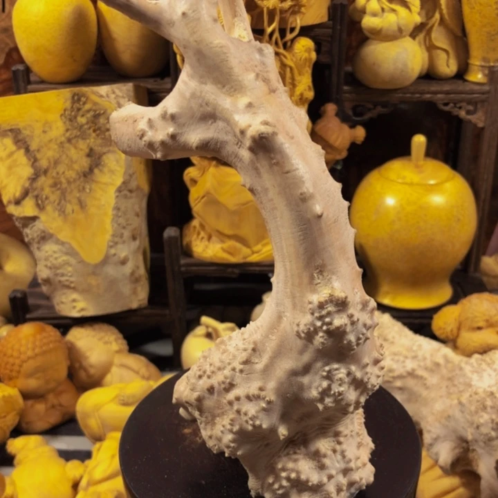 一***氷木木料努力哦扣扣了