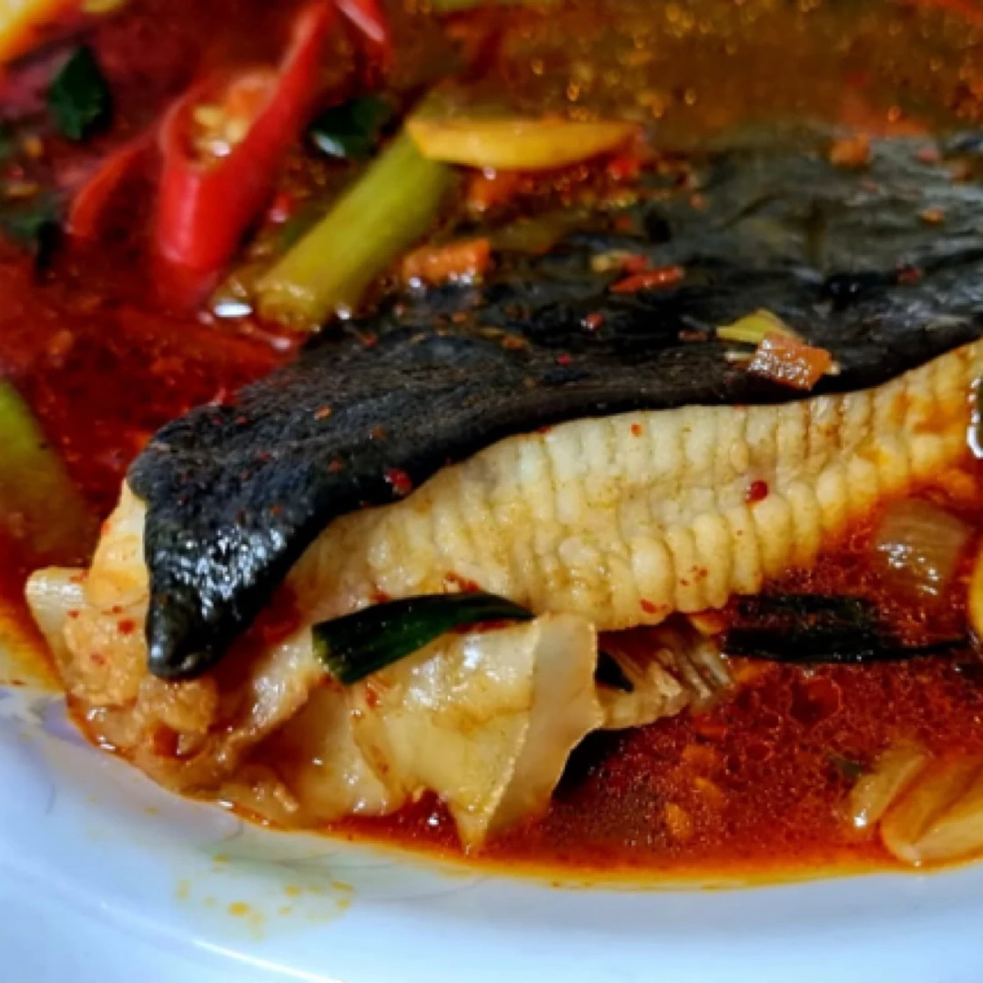 【顺丰】原切鳐鱼翅（红烧清蒸15分钟，剁椒，油泼等等）