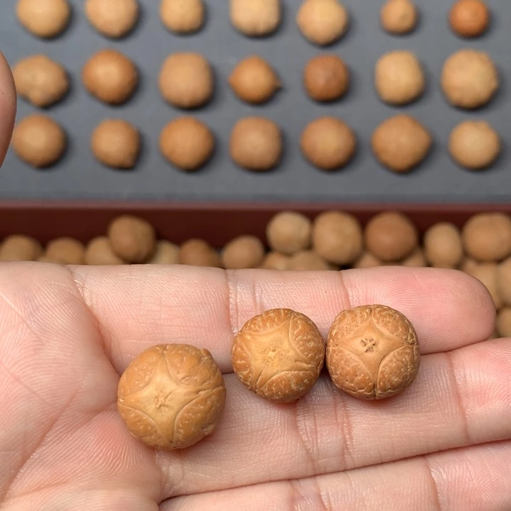 凤眼菩提吊坠峦*麒麟眼三颗