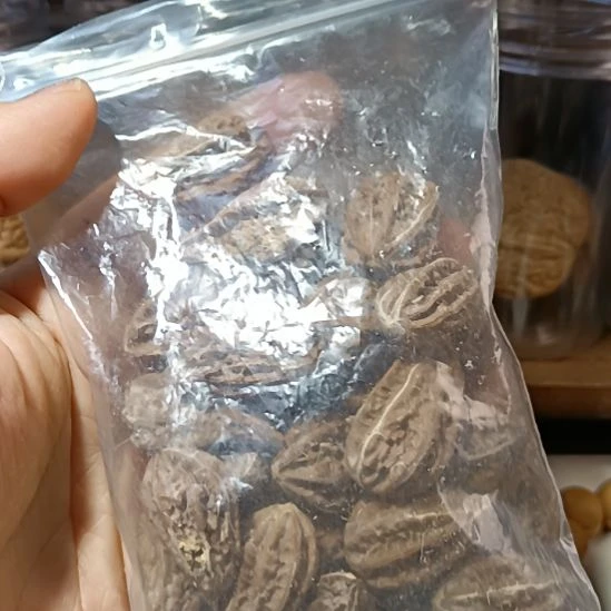 文玩核桃把件666666666666666666