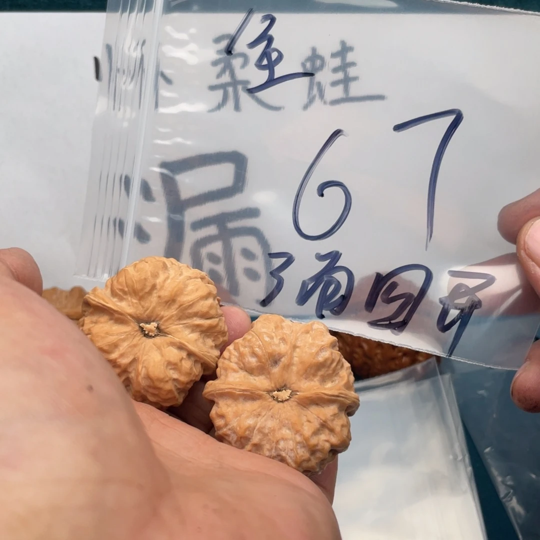 橄榄核手串/手链W469649479694846