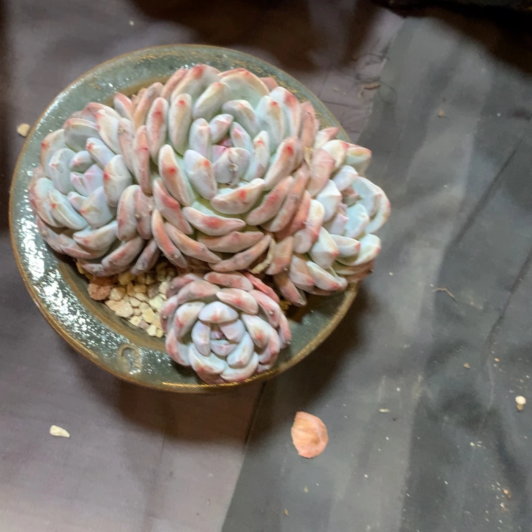 哈哈哈哈哈哈哈哈哈哈哈