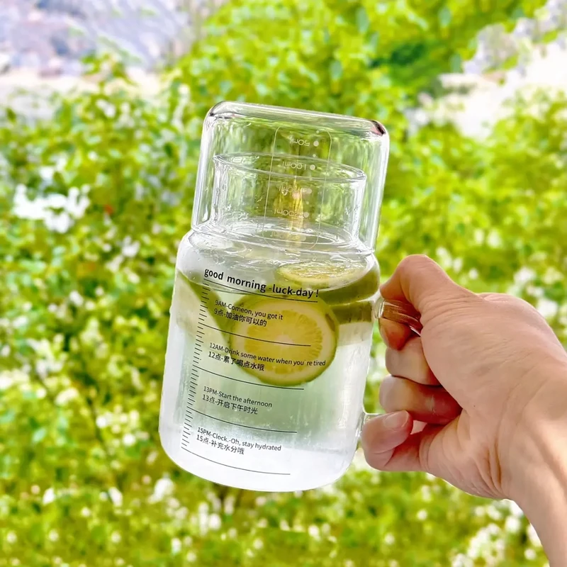 【高硼硅】水杯耐高温泡茶杯玻璃喝水马克杯大容量800ml带盖网红