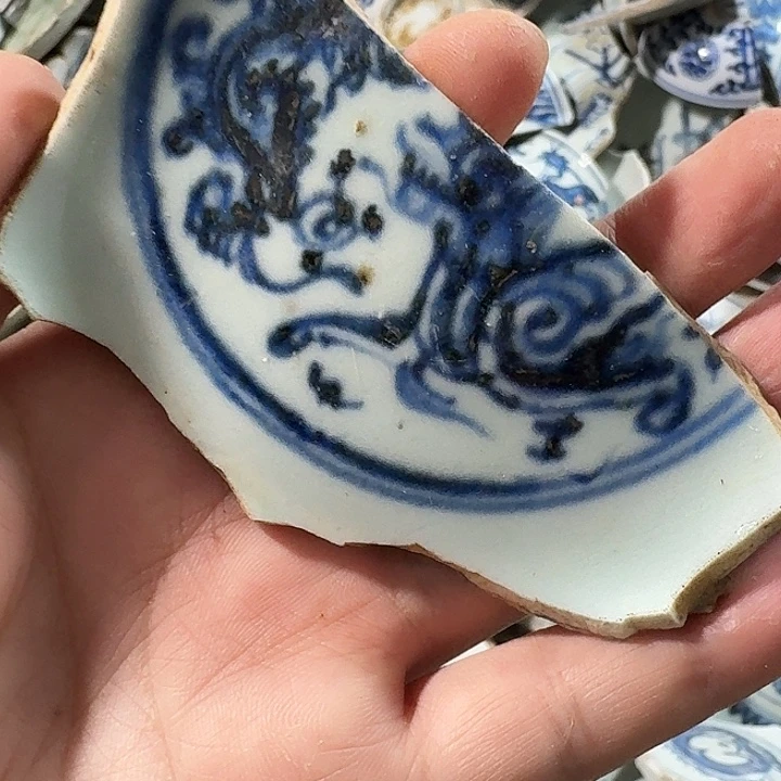奥***l瓷片瓷片标本，顺丰包邮