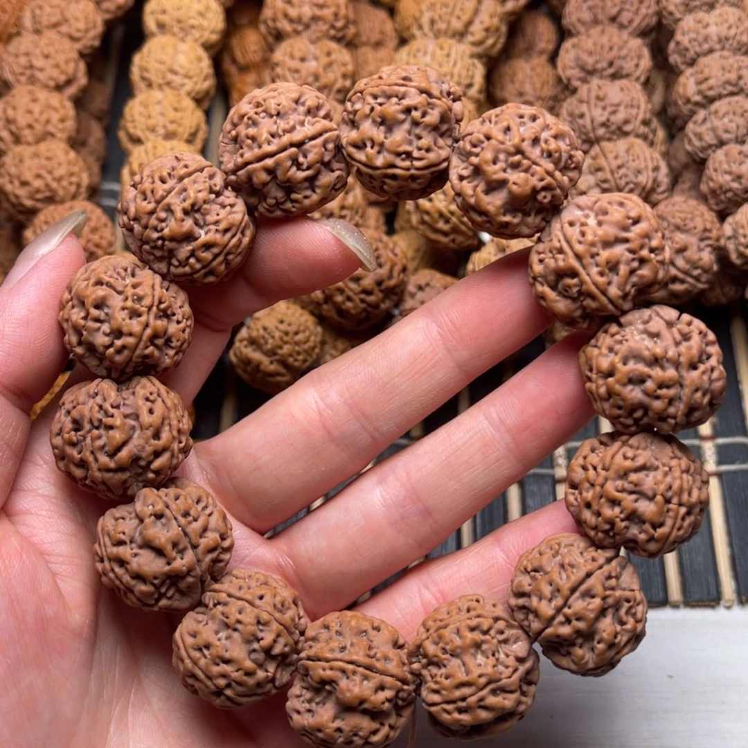 菩提24号金刚菩提蜂窝双龙22
