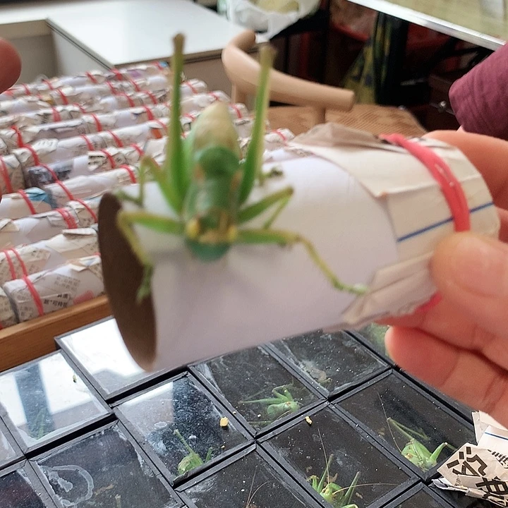 速***度短须眼啊啊啊啊啊