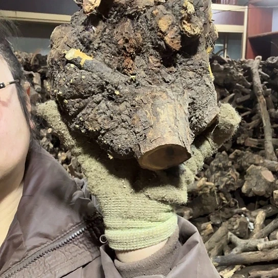 香榧木渔**在火琉璃的故事毛料摆件