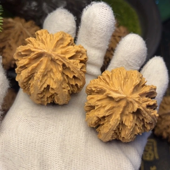 文玩核桃吊坠秦岭核桃15