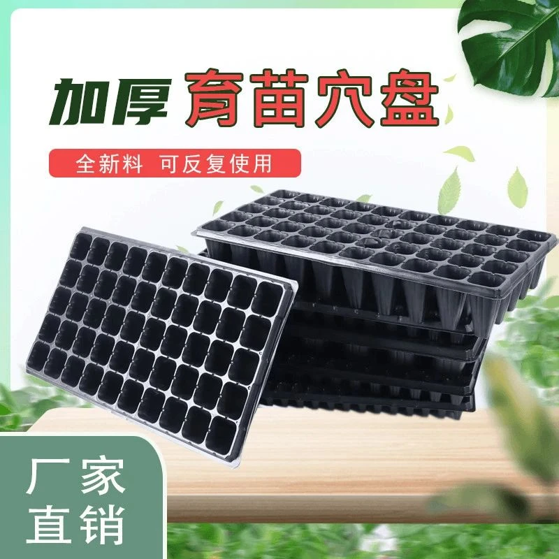 西瓜专用育苗盘育种盘杯营养杯辣椒烤烟菜苗月季扦插秧苗育苗神