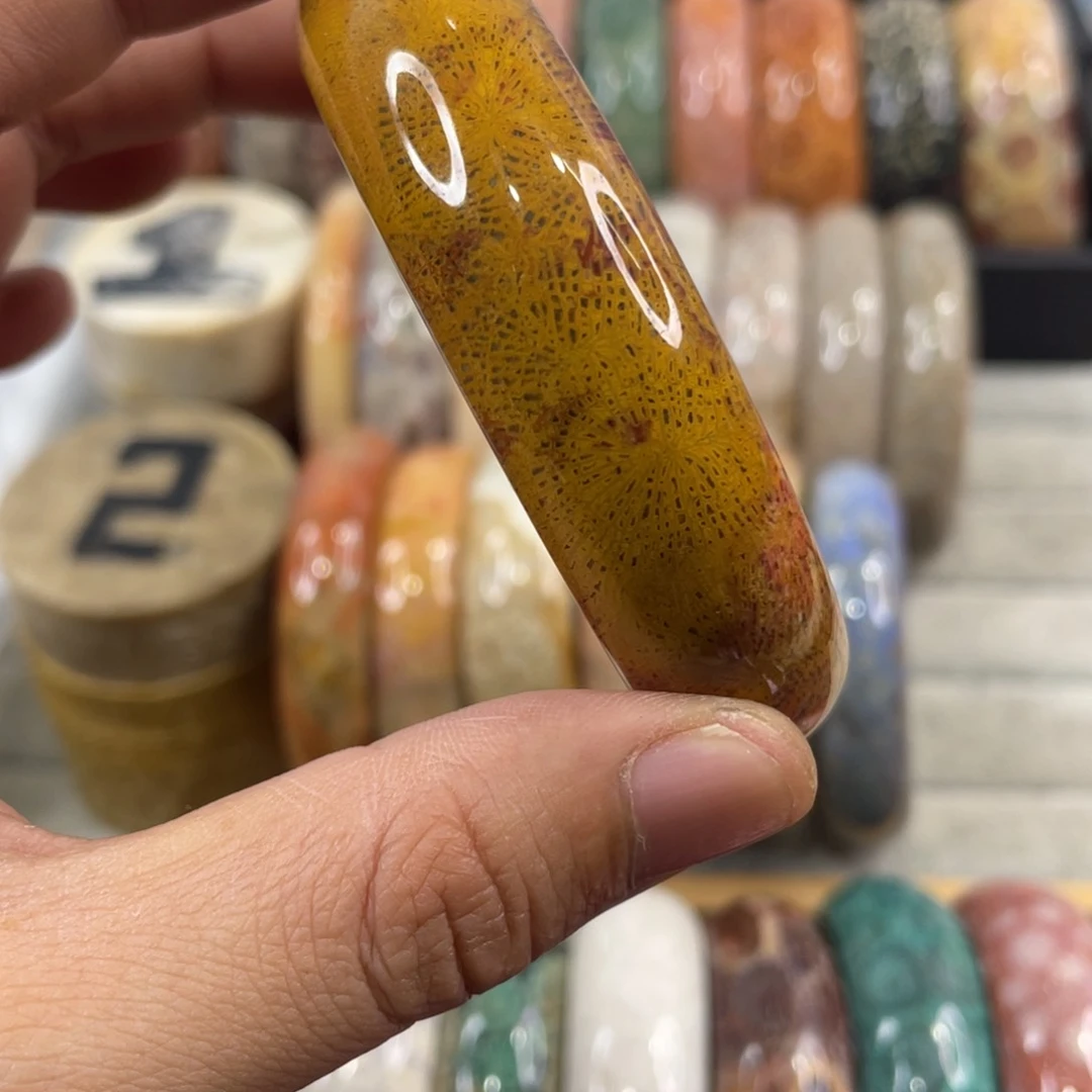 未镶嵌手镯硅化玉