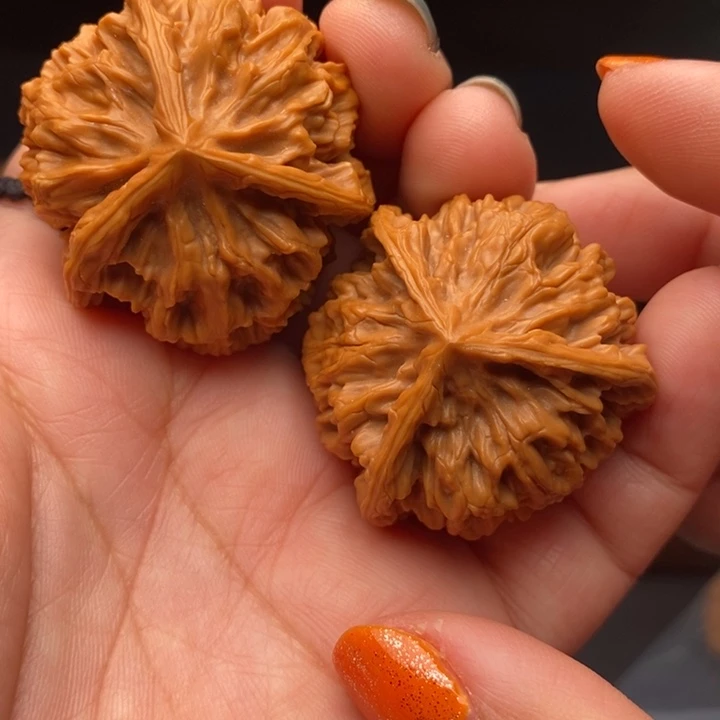 核桃帝王三棱39尺核桃