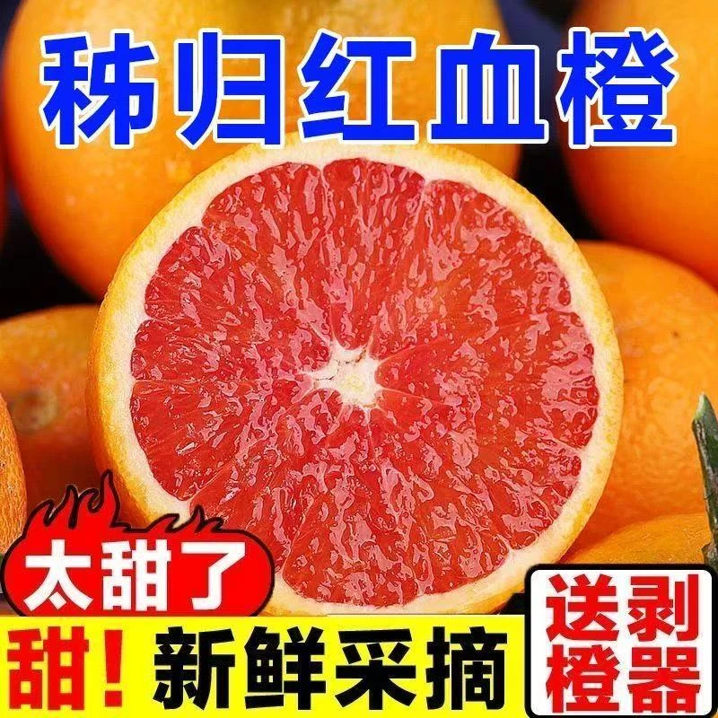 【产地直发】正宗湖北秭归中华红血橙应季新鲜水果红肉脐橙红心橙子