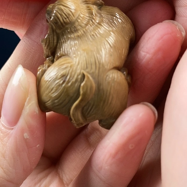 琥珀（根珀）未镶嵌珠宝奇石