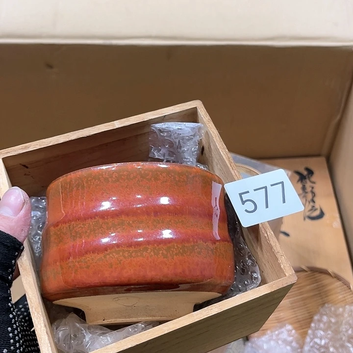 茶宠我们都在努力着改变着