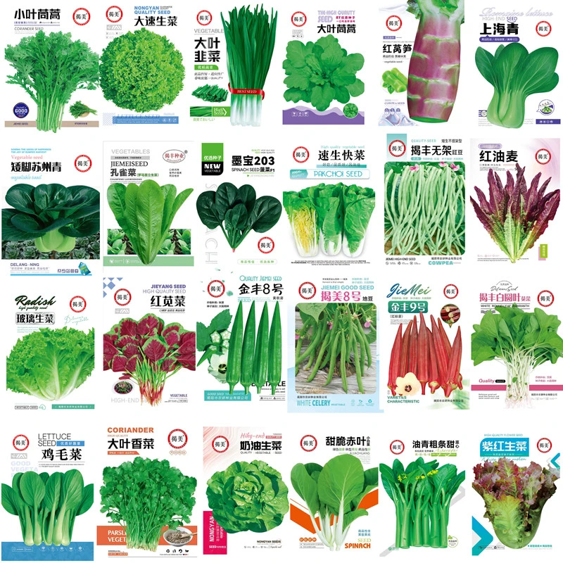 揭美蔬菜种子大全四季青菜种籽阳台盆栽农家高产生菜秋葵蔬菜种子