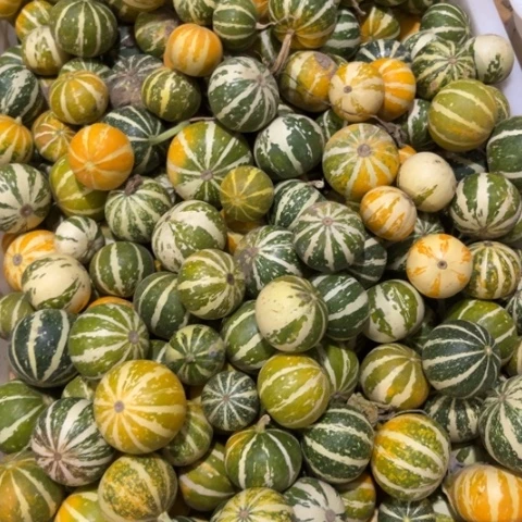 沙***洲陶瓷啊啊啊啊啊啊啊啊