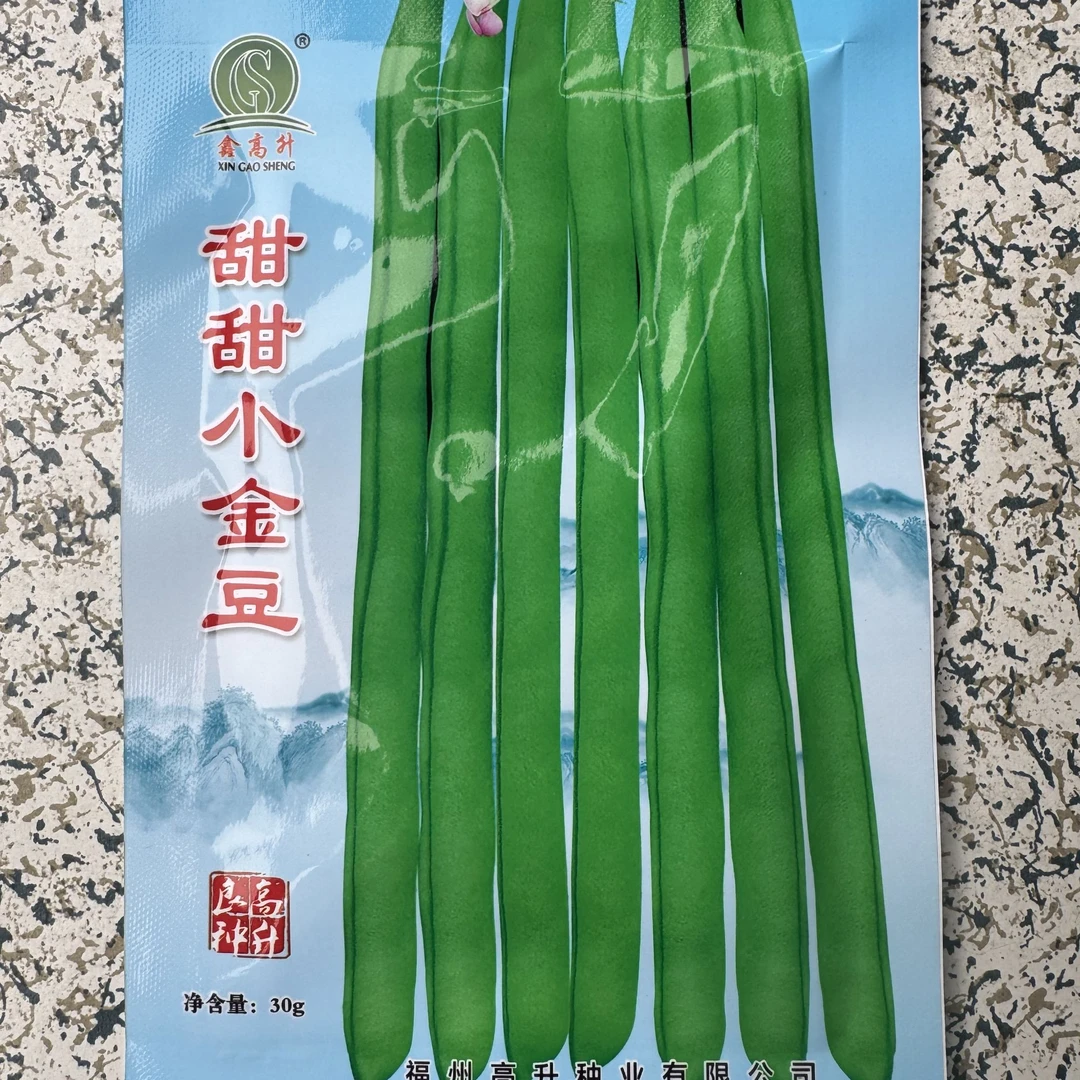 甜甜小金豆四季豆