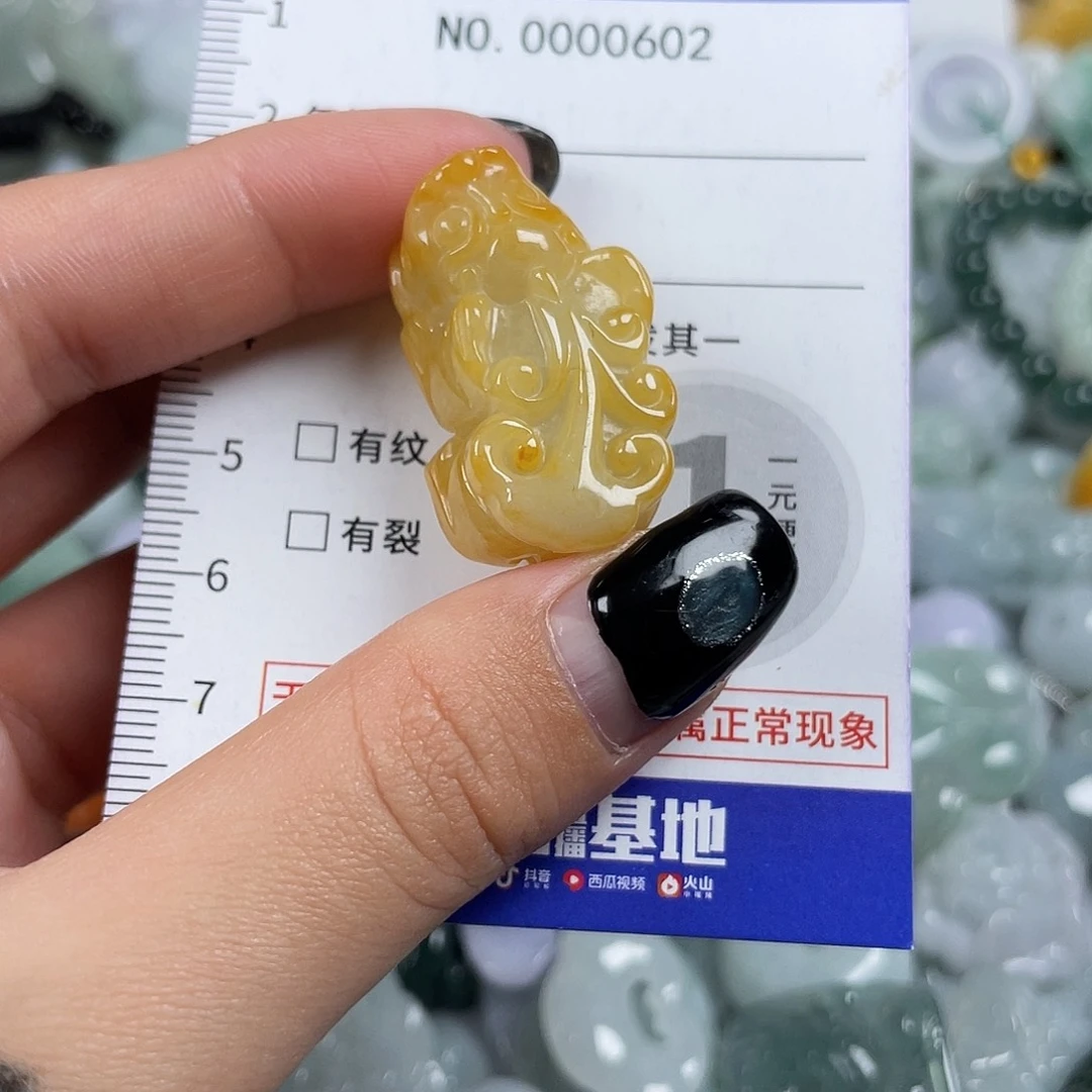 翡翠未镶嵌颈饰602