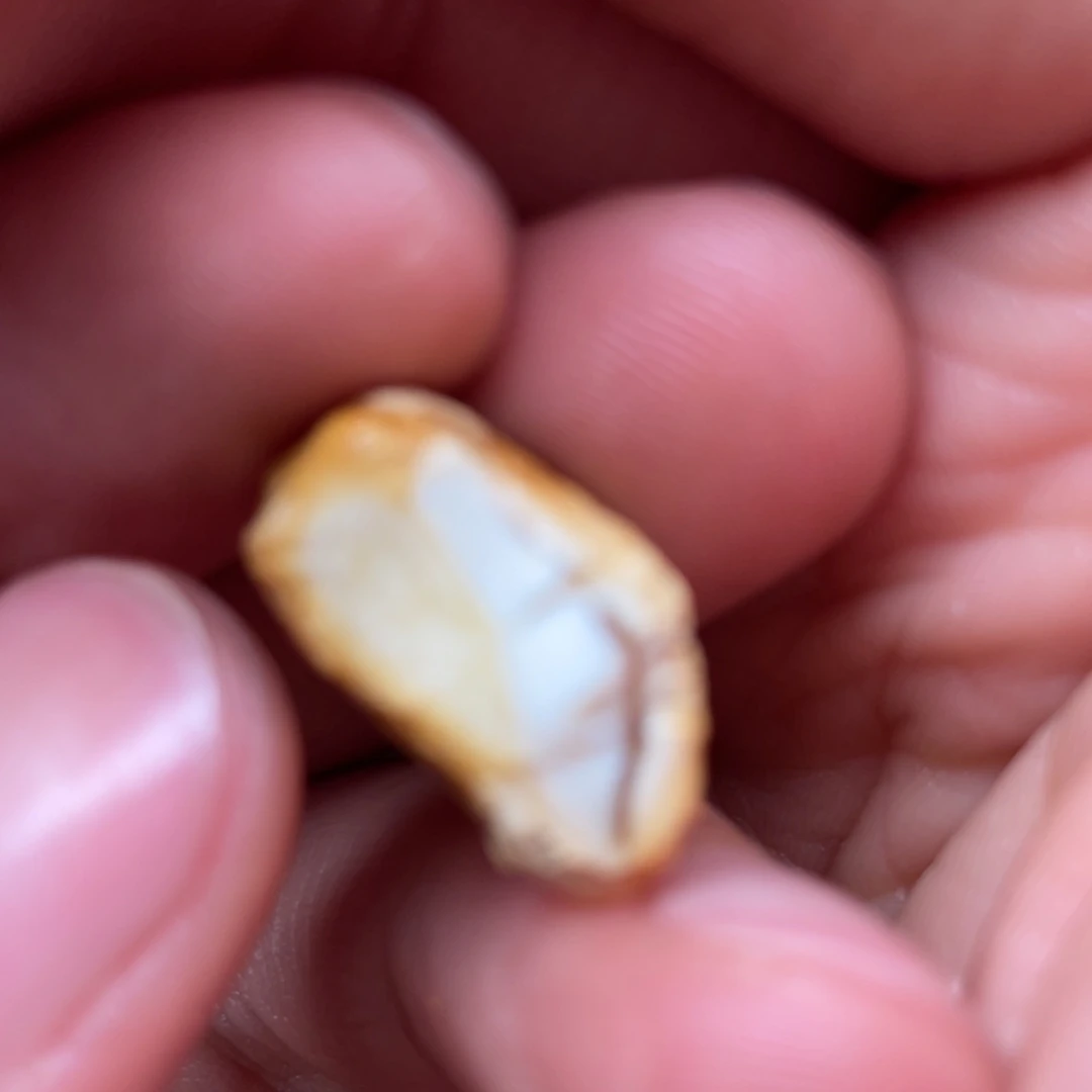 定制琥珀未镶嵌天然蜜蜡