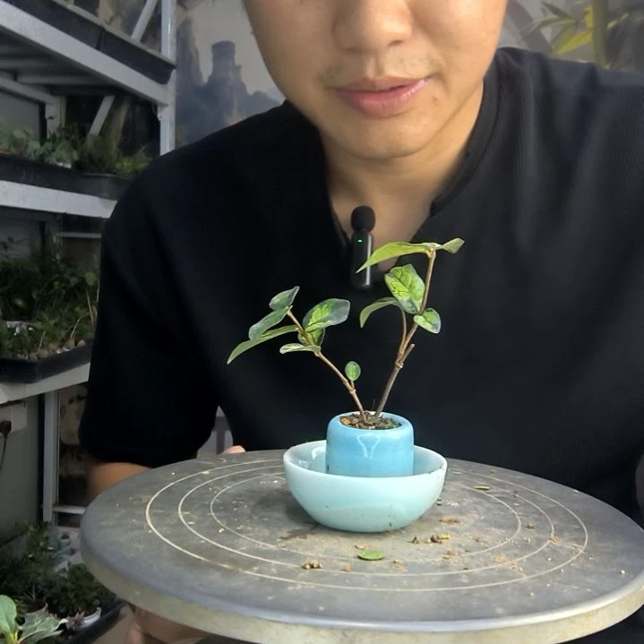 不****～中青园艺一物一拍45