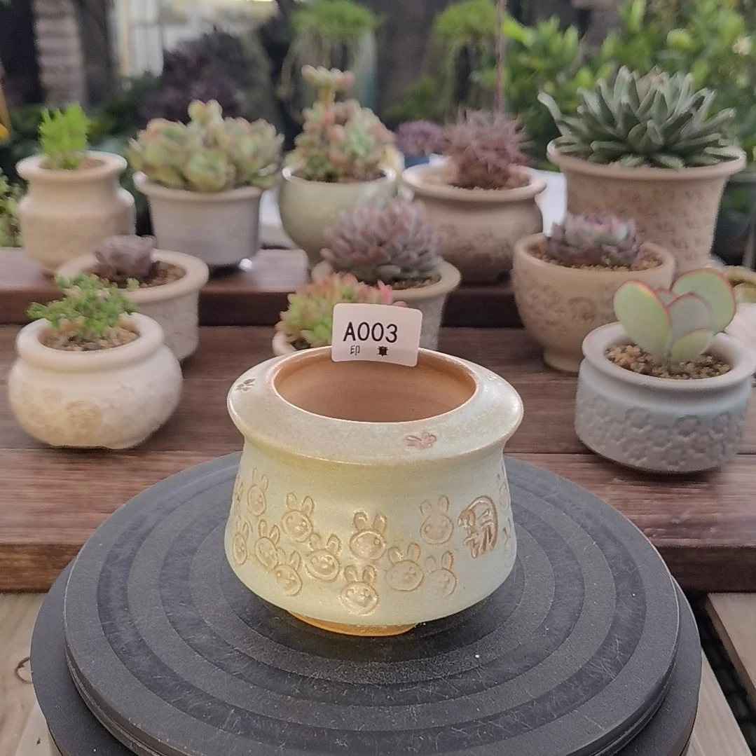 印章多肉花盆A003
