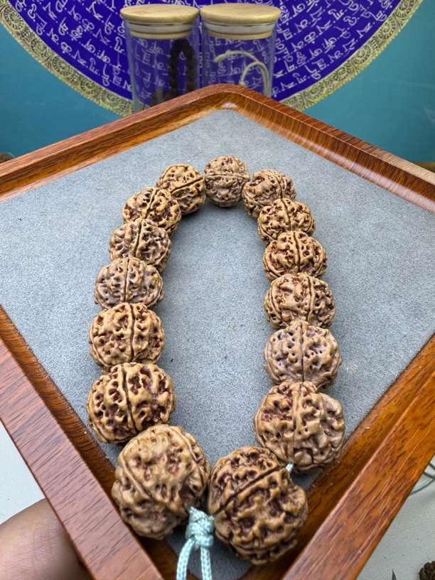 蜂窝双龙大金刚练手入门