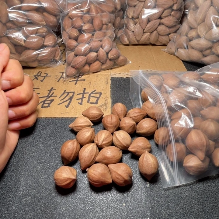 人***全猪牙手串/手链我是